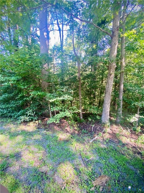Tiny photo for 0 Springton Road, Mechanicsville, VA 23116 (MLS # 2621969)