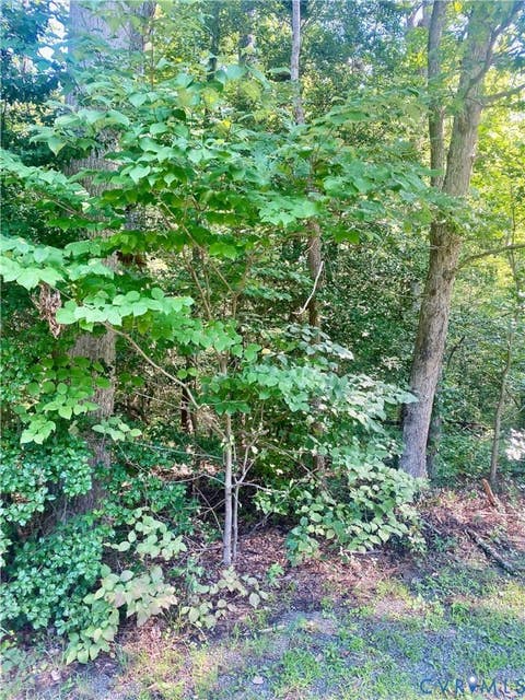 Tiny photo for 0 Springton Road, Mechanicsville, VA 23116 (MLS # 2621969)