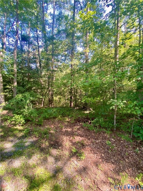 Tiny photo for 0 Springton Road, Mechanicsville, VA 23116 (MLS # 2621969)