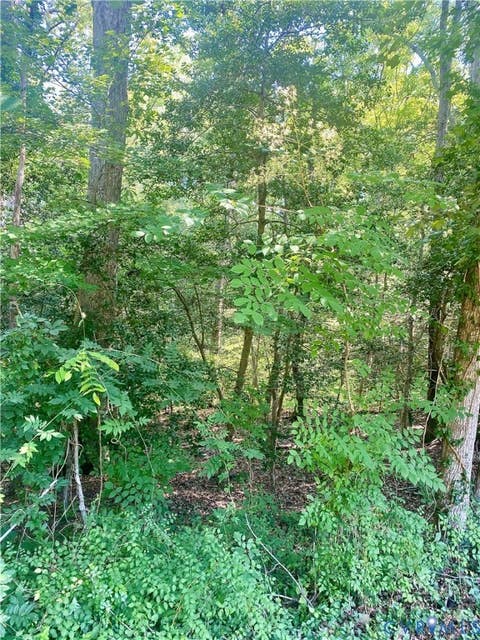 Tiny photo for 0 Springton Road, Mechanicsville, VA 23116 (MLS # 2621969)