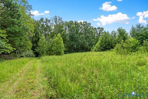 Tiny photo for 610 Lockett Road, Rice, VA 23966 (MLS # 2624635)