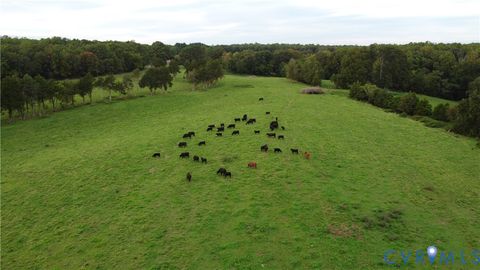 Tiny photo for 00 Perkinsville Lot 6 Road, Maidens, VA 23102 (MLS # 2528988)