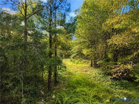 Tiny photo for 23124 Telegraph Road, Ruther Glen, VA 22546 (MLS # 2626935)