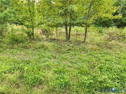 Tiny photo for 23124 Telegraph Road, Ruther Glen, VA 22546 (MLS # 2626935)