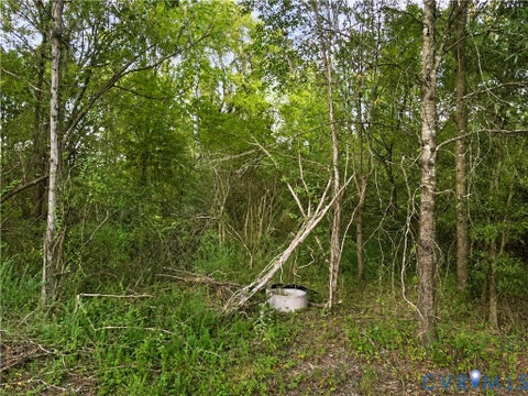 Tiny photo for 23124 Telegraph Road, Ruther Glen, VA 22546 (MLS # 2626935)