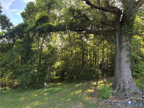 Tiny photo for 0 McConnell Lane, Ashland, VA 23005 (MLS # 2621545)