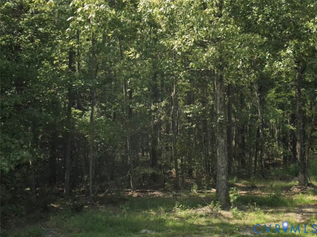 422 FOREST VIEW Lane