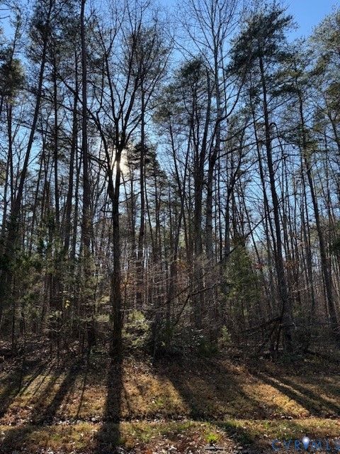 Tiny photo for 0 Belmont Lane, Louisa, VA 23093 (MLS # 2532441)
