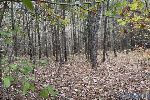 Tiny photo for 18AC Rehoboth Road, Victoria, VA 23974 (MLS # 2529952)