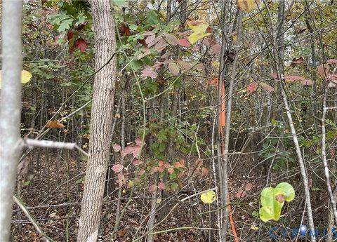 Tiny photo for 18AC Rehoboth Road, Victoria, VA 23974 (MLS # 2529952)