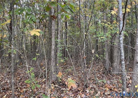 Tiny photo for 18AC Rehoboth Road, Victoria, VA 23974 (MLS # 2529952)