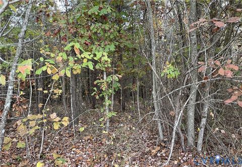 Tiny photo for 18AC Rehoboth Road, Victoria, VA 23974 (MLS # 2529952)