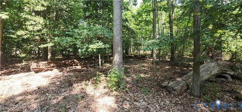 Photo of 14316 Garnett Lane, Midlothian, VA 23114 (MLS # 2521296)