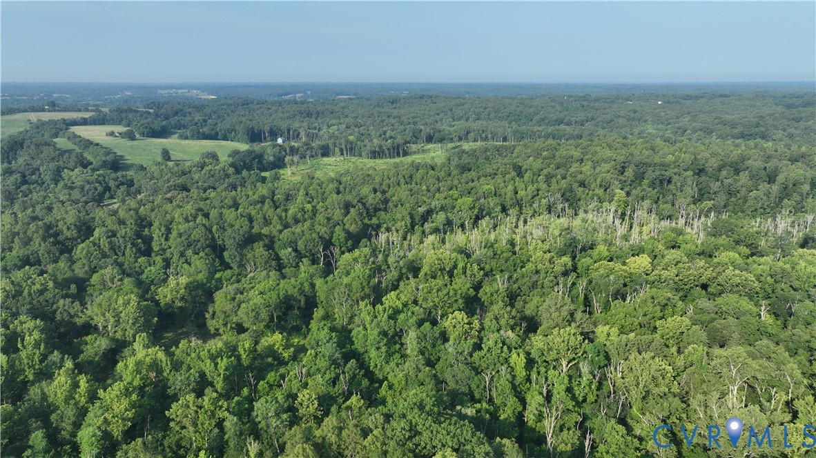 2125 Strawberry Run