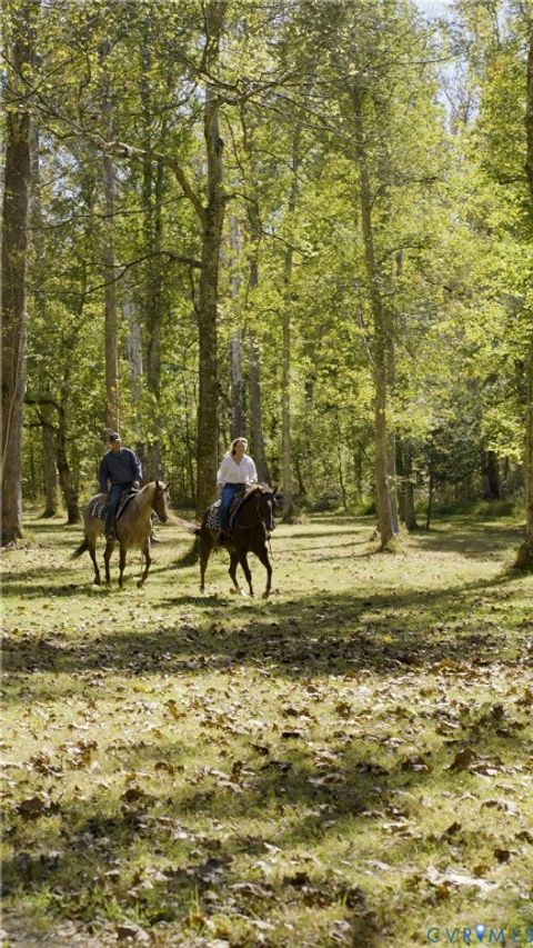 Tiny photo for 2125 Strawberry Run, Crozier, VA 23039 (MLS # 2528626)