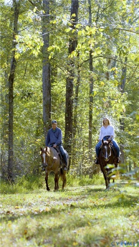 Tiny photo for 2125 Strawberry Run, Crozier, VA 23039 (MLS # 2528626)