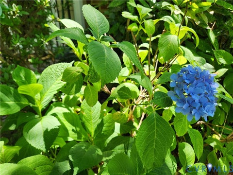Tiny photo for 10260 Maplested Lane, Richmond, VA 23235 (MLS # 2617515)