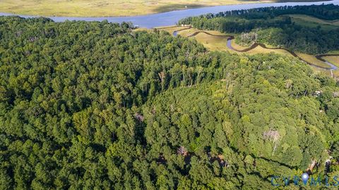 Tiny photo for 00 Custis Millpond Road, West Point, VA 23181 (MLS # 2523013)
