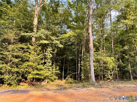 Tiny photo for 0000 Jamestown Road, Hanover, VA 23005 (MLS # 2622801)