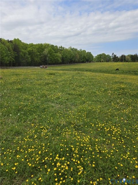 Tiny photo for 00 Perkinsville Lot 6 Road, Maidens, VA 23102 (MLS # 2615413)