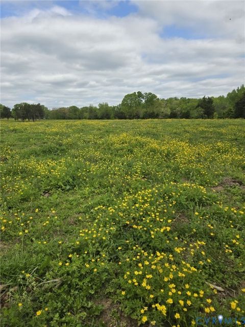 Tiny photo for 00 Perkinsville Lot 6 Road, Maidens, VA 23102 (MLS # 2615413)