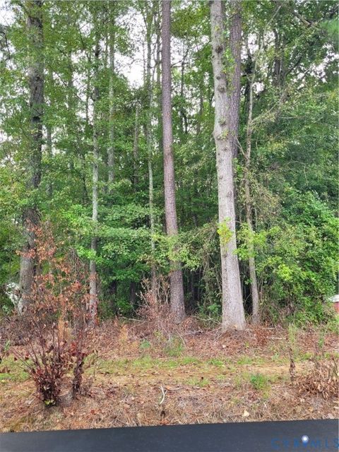 Photo of TBD09 Kimages Road, Charles City, VA 23030 (MLS # 2527487)