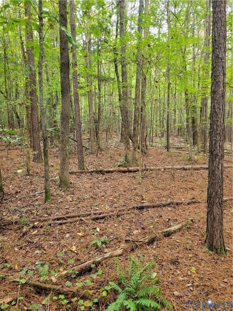 Tiny photo for TBD09 Kimages Road, Charles City, VA 23030 (MLS # 2527487)