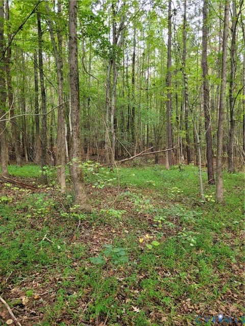 Tiny photo for TBD09 Kimages Road, Charles City, VA 23030 (MLS # 2527487)