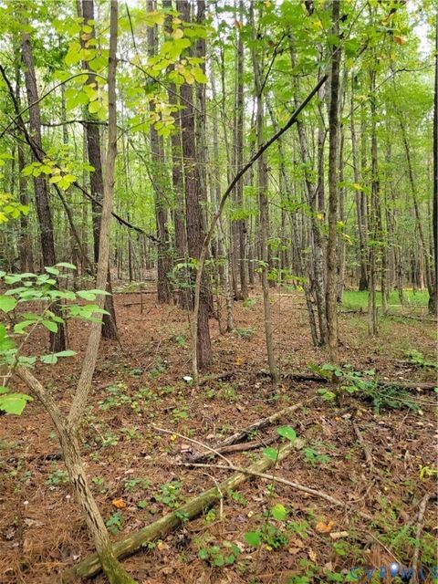 Tiny photo for TBD09 Kimages Road, Charles City, VA 23030 (MLS # 2527487)