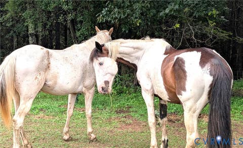 Tiny photo for 825 Macks Mountain Road, Indian Valley, VA 24105 (MLS # 2620071)