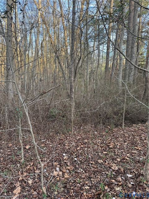 Tiny photo for 0 N Courthouse Road, Waverly, VA 23890 (MLS # 2602552)