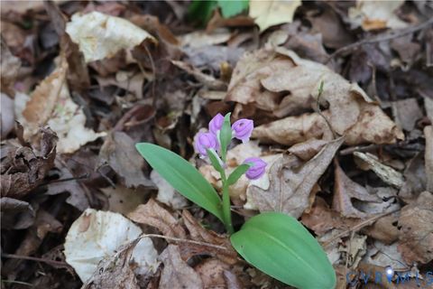 Tiny photo for 1185 Belle Meade Road, Bumpass, VA 23024 (MLS # 2607330)