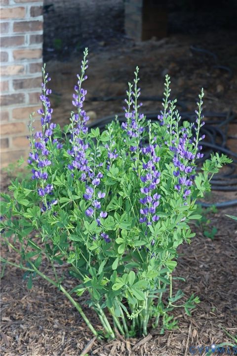 Tiny photo for 1185 Belle Meade Road, Bumpass, VA 23024 (MLS # 2607330)