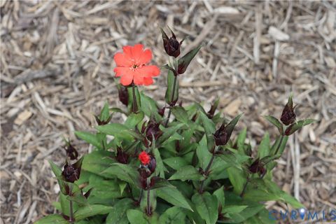 Tiny photo for 1185 Belle Meade Road, Bumpass, VA 23024 (MLS # 2607330)