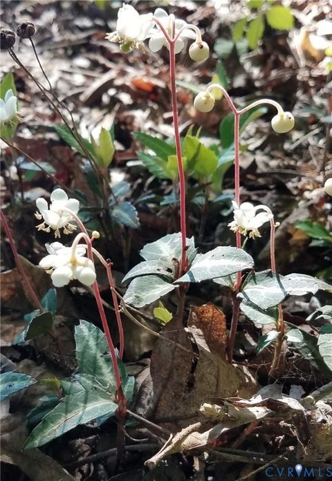 Tiny photo for 1185 Belle Meade Road, Bumpass, VA 23024 (MLS # 2607330)