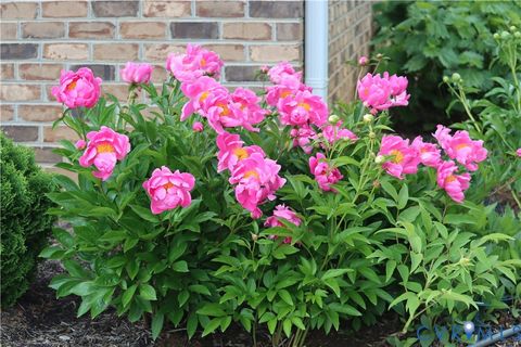 Tiny photo for 1185 Belle Meade Road, Bumpass, VA 23024 (MLS # 2607330)