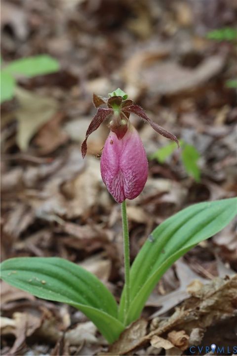 Tiny photo for 1185 Belle Meade Road, Bumpass, VA 23024 (MLS # 2607330)