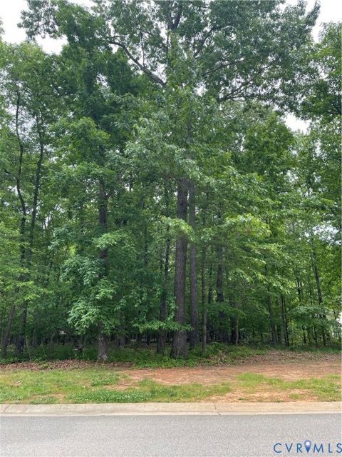 Photo of 3115 Lake Stone Terrace, Powhatan, VA 23139 (MLS # 2605260)