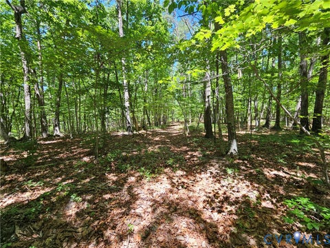 Tiny photo for 15 Ac Manteo Road, Buckingham, VA 23921 (MLS # 2617693)
