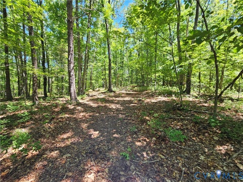 Tiny photo for 15 Ac Manteo Road, Buckingham, VA 23921 (MLS # 2617693)