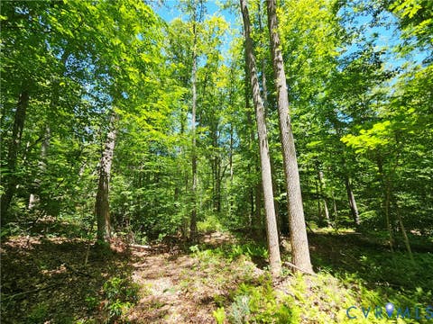 Tiny photo for 15 Ac Manteo Road, Buckingham, VA 23921 (MLS # 2617693)