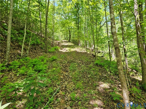 Tiny photo for 15 Ac Manteo Road, Buckingham, VA 23921 (MLS # 2617693)