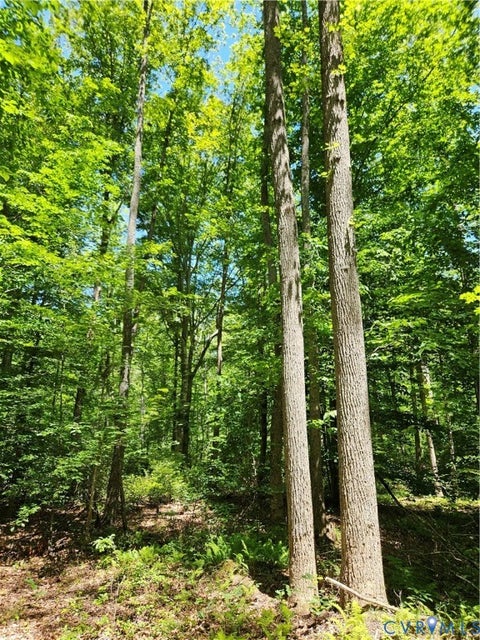 Tiny photo for 15 Ac Manteo Road, Buckingham, VA 23921 (MLS # 2617693)