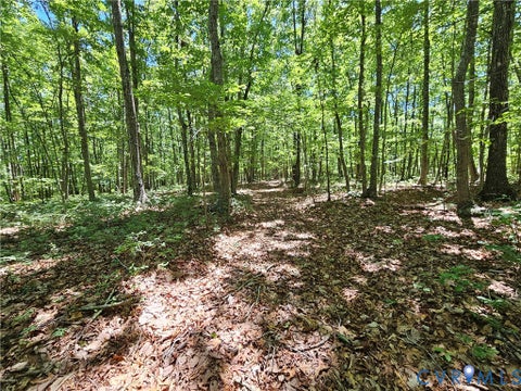 Tiny photo for 15 Ac Manteo Road, Buckingham, VA 23921 (MLS # 2617693)