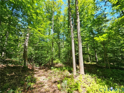 Tiny photo for 15 Ac Manteo Road, Buckingham, VA 23921 (MLS # 2617693)