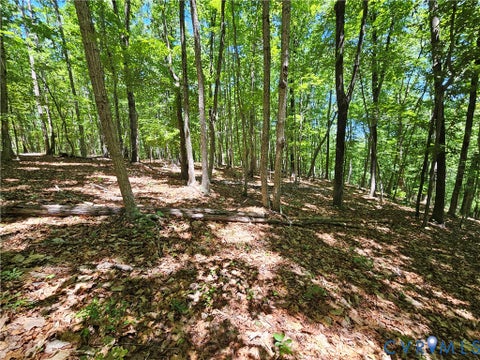 Tiny photo for 15 Ac Manteo Road, Buckingham, VA 23921 (MLS # 2617693)