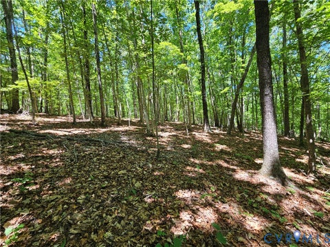 Tiny photo for 15 Ac Manteo Road, Buckingham, VA 23921 (MLS # 2617693)