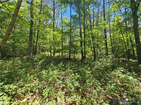 Tiny photo for 15 Ac Manteo Road, Buckingham, VA 23921 (MLS # 2617693)