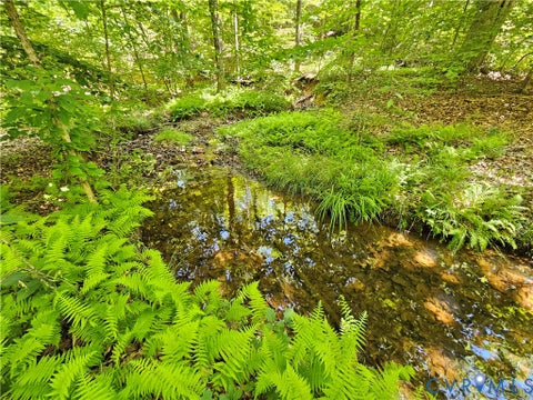 Tiny photo for 15 Ac Manteo Road, Buckingham, VA 23921 (MLS # 2617693)