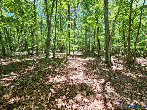 Tiny photo for 15 Ac Manteo Road, Buckingham, VA 23921 (MLS # 2617693)